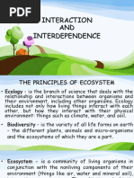 Interact and Interdependence