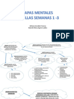 Mapas Mentales Cartillas 1,2,3