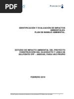 Cap V Identificacion de Impactos - Pma PDF