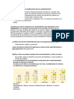 En Qué Se Basa La Clasificación de Los Carbohidratos