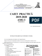 Caiet Practica