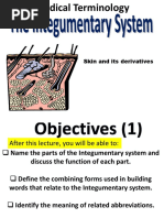 Integumentary System: Skin and Its Derivatives