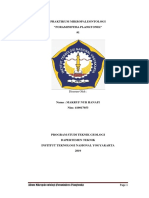 Species Mikro Fosil Phylum Foraminifera Plangtonik