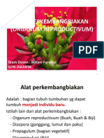 Alat Perkembangbiakan Bunga (Flos)