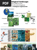 Life Can Be Studied at Different Levels - From Molecules To The Entire Living Planet - Different Levels of