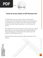 Teclas de Acceso Rapido en SAP Business PDF