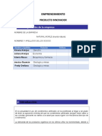 Informe Final Producto Innovador