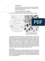 Microestructura en La Fundicion Fe C