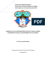 Informe Final Pafs