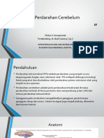 Perdarahan Cerebelum