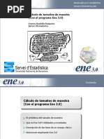 Seminari Ene3