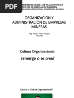 Cultura Organizacional