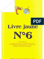 Livre Jaune N6