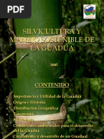 Silvicultura y Manejo Sostenible de Guaduales