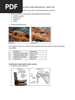 Soal PPG Dalam Jabatan PGSD UAD IPA