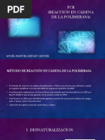 PCR (Reacción en Cadena de La Polimerasa) : Angel Manuel Ehuan Canche