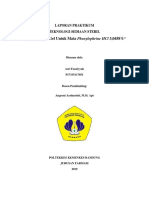 Semsol - Fenilefrin HCL - 3,0458% - A2 - 2019