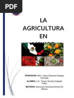 La Agricultura en Mexico