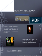 Caracterización de La Llama