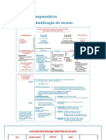 Identificação de Recursos