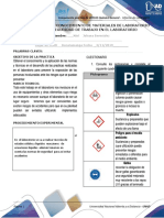 Anexo - Formato Preinformes e Informes