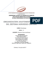 Mapa Conceptual Del Sistema Nervioso Central y Sistema Endocrino - Grupo 3