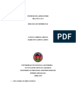 Identificación Básica de Biomoléculas. Introducción Al Análisis Cualitativo de Control de Calidad