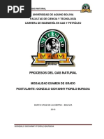 Procesos Del Gas Natural Gonzalo Fiorilo 17 02 18