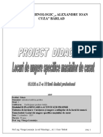 Proiect Didactic Vlonga Luminita