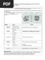 Apuntes de Histologia Vegetal