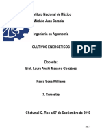 Importancia Social, Economica y Ecologica de Los Biocombustibles