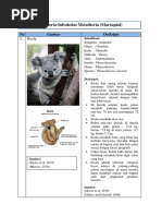 Laporan Referensi KH (Subkelas Theria) Marsupial