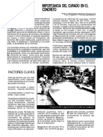 Importancia Del Curado en El Concreto PDF