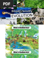 Biodiversity and Evolution