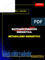 Semi 4 - 3 - Biotransferencia Energetica