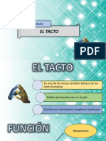 Terminologías Del Tacto