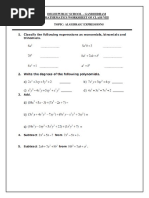 Dps-Algebric Expression Class 8 Work Sheet PDF