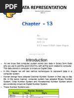 Chapter 13 Engdata Representation