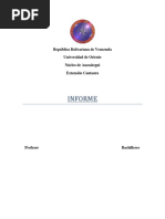 Un Lenguaje de Programación de Alto Nivel Se Caracteriza Por Expresar Los Algoritmos de Una Manera Más Cercana A La Capacidad Cognitiva Humana