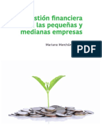 La Gestión Financiera en Las PYMES