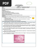 Evaluacion Unidad 2 Lenguaje y Comunicacion 4° Basico 2019