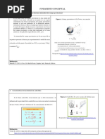 Fundamento Conceptual-Caída Libre