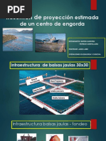 Resumen de Proyección de Un Centro de Engorda