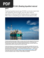 A Guide To FLNG