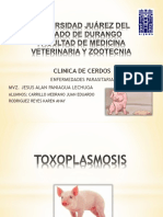 Toxoplasmosis