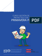 Primavera p6