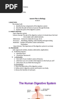 Detailed Lesson Plan Digestive System