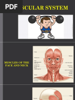 08 Muscular System Lab