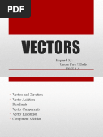 VECTORS Report