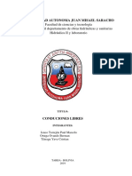 Informe de Conducciones Libres Janco, Ortega, Tarraga